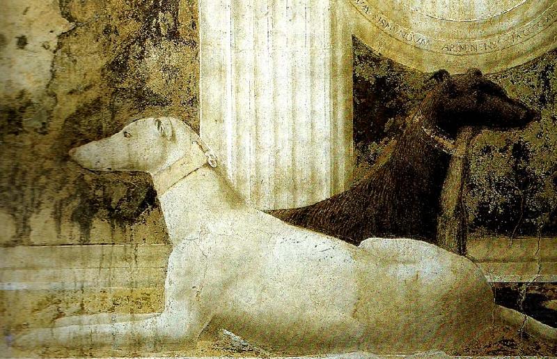 Piero della Francesca detail of the dogs from st sigismund  and sigismondo pandolfo malatesta china oil painting image